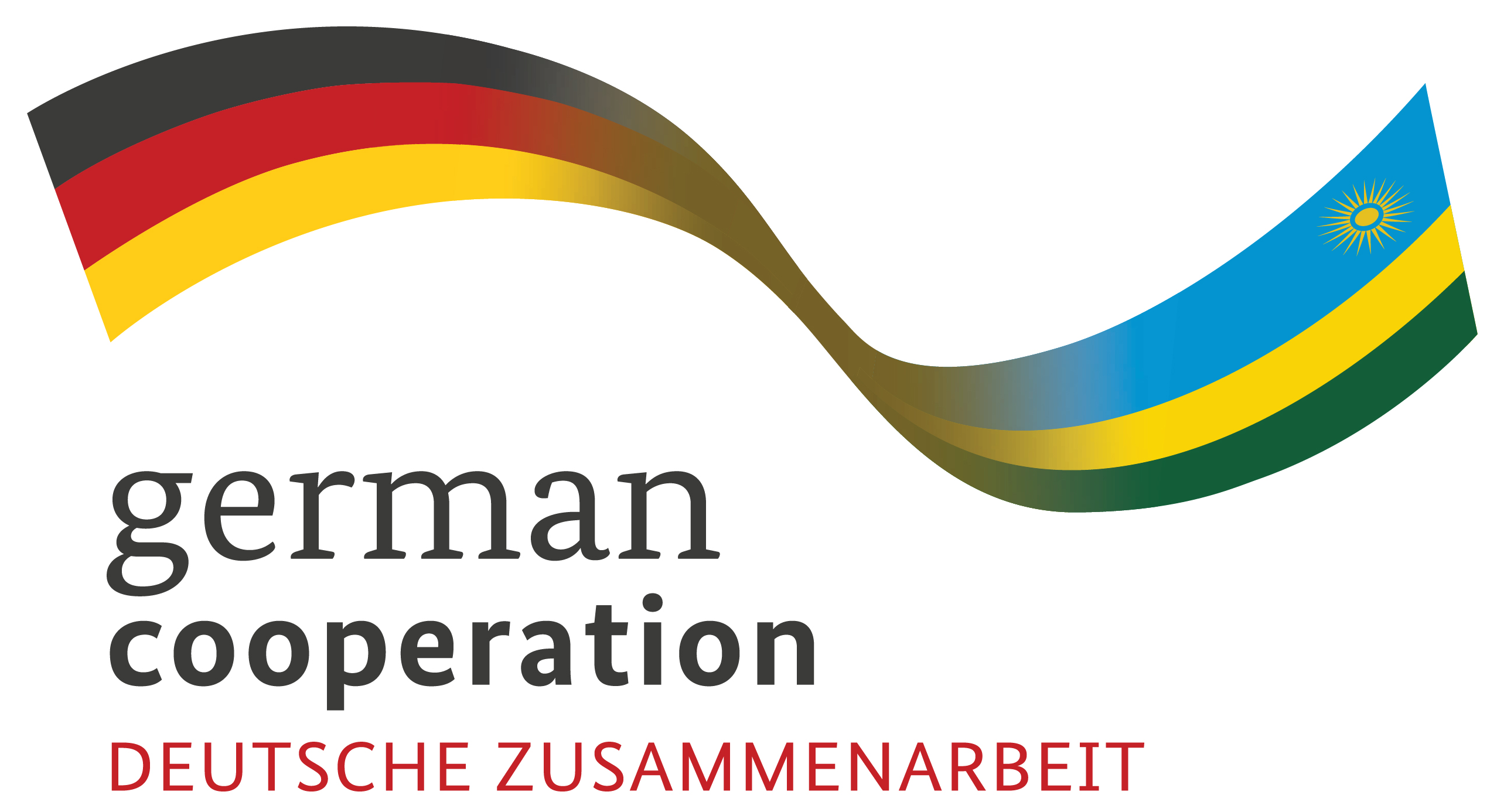 Deutsche Gesellschaft für Internationale Zusammenarbeit (GIZ)